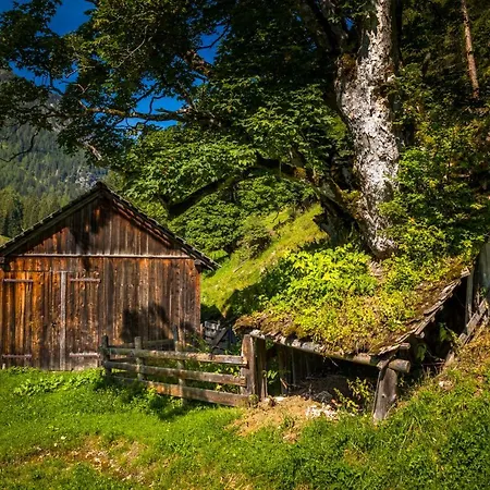 Holiday home Hauserlhuette Zederhaus
