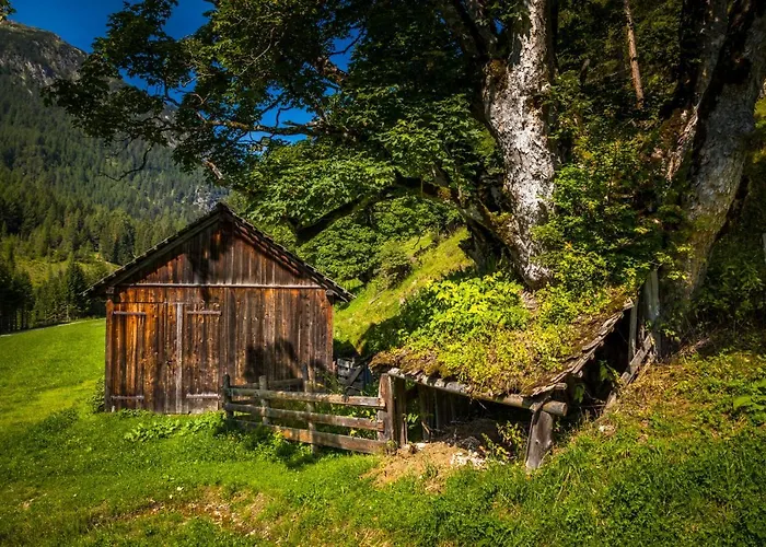 Ferienhaus Hauserlhütte Zederhaus